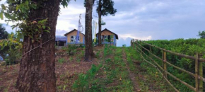 Himali Danda Homestay